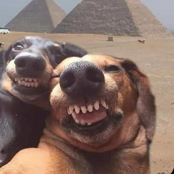 Meet your Posher, Shannon - Picture 7 of 8